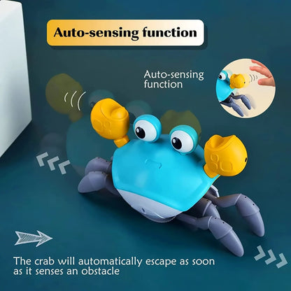 Walking Crab